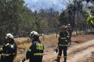 CBS respondió ante incendio forestal en la comuna de Vitacura