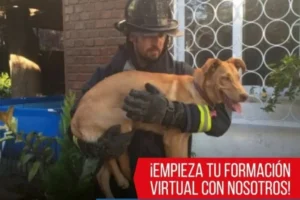 CBS y OBA imparten curso “Introducción al Rescate Animal”