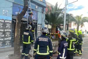 Brigadas Juveniles de la 7ª, 10ª, 16ª y 17ª Compañía realizaron Interzonal Zona Centro