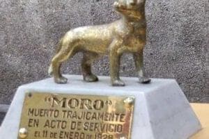 CBS recordó a "Moro", el Perro Bombero, a 95 años de su muerte