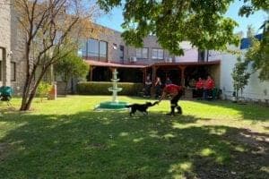 Unidad Canina de Rescate del CBS inició actividades para 2023