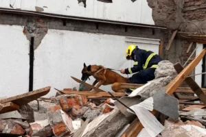Unidad Canina de Rescate realizó ejercicio de búsqueda con el ejemplar “Moro”