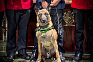 16ª Compañía distinguió al perro “Moro”, de la Unidad Canina de Rescate
