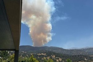 El CBS controla Alarma de Incendio Forestal en Lo Barnechea