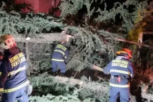 Bomberos de Santiago atendi&oacute; m&aacute;s de 100 emergencias por sistema frontal