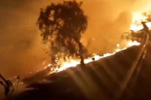 Las Condes: voluntarios de 9 Compa&ntilde;&iacute;as extinguieron incendio forestal