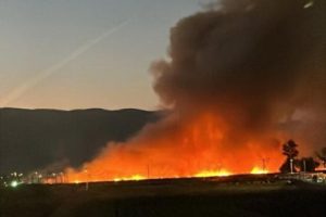El CBS contuvo incendio forestal que amenaz&oacute; a empresa de veh&iacute;culos, en Renca