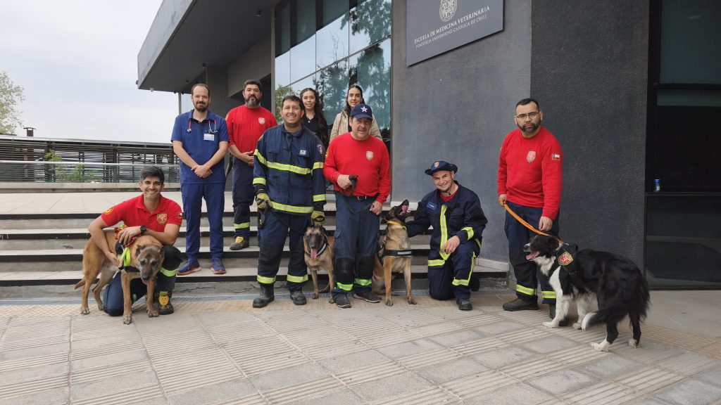 Ejemplares de la Unidad Canina de Rescate fueron evaluados en Facultad de Medicina Veterinaria UC
