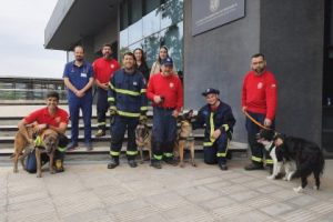 Ejemplares de la Unidad Canina de Rescate fueron evaluados en Facultad de Medicina Veterinaria UC